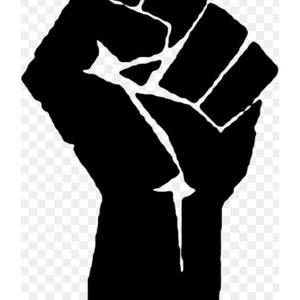 Meet your Posher, Solomon